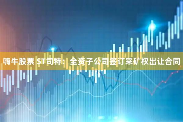 嗨牛股票 ST司特:全资子公司签订采矿权出让合同